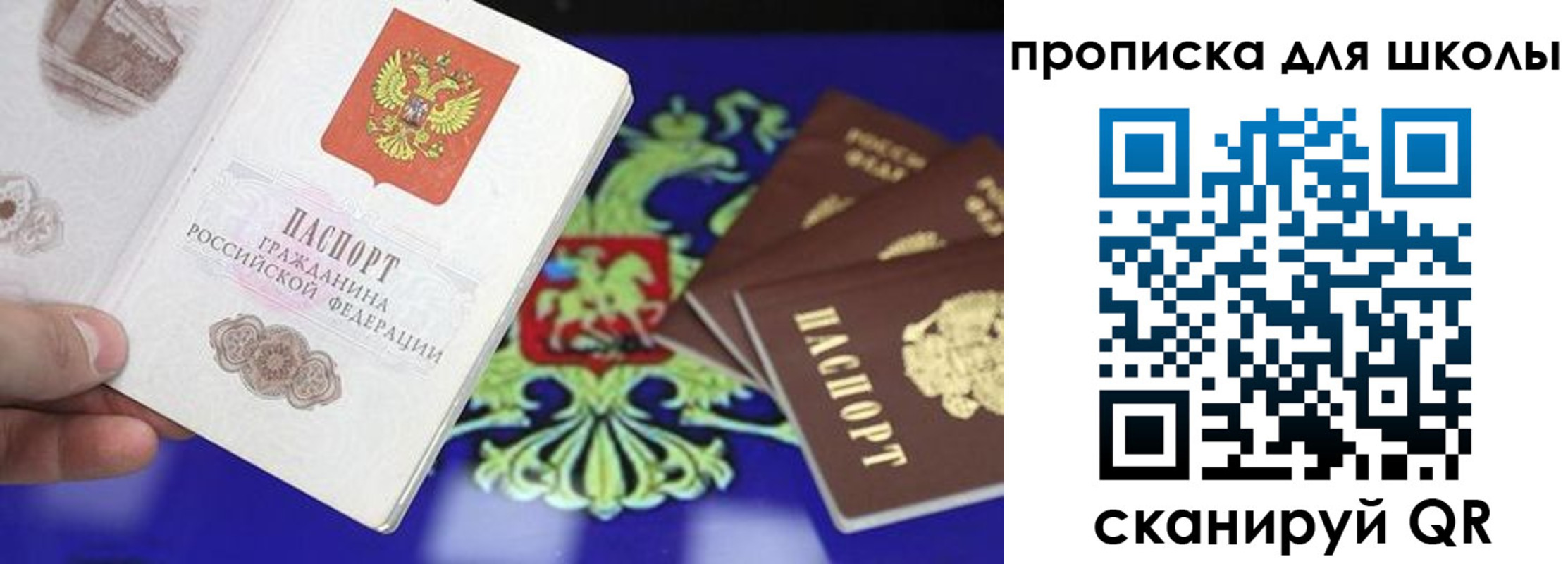 прописка в квартире в Советской Гавани